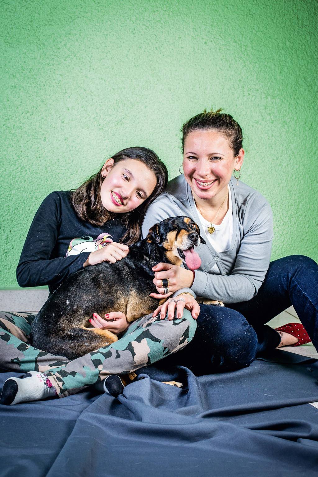 Animais abandonados ganham recomeço em lares paulistanos e abrigos