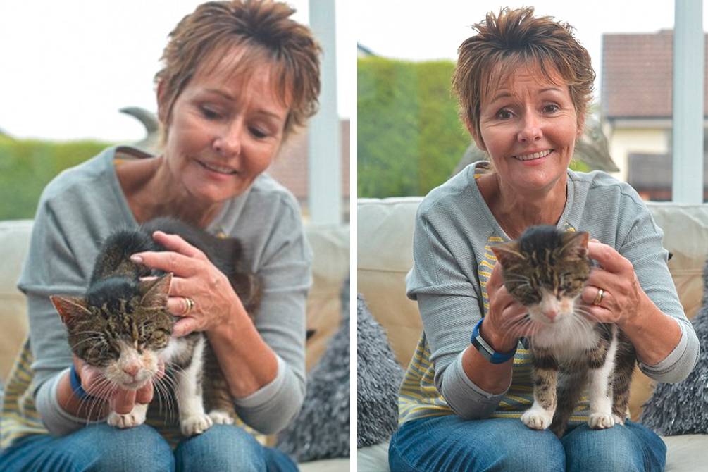 Mulher reencontra gato de estimação após treze anos