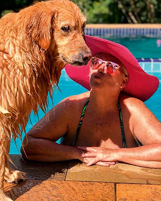 #MeuPet: conheça a golden retriever Wendy