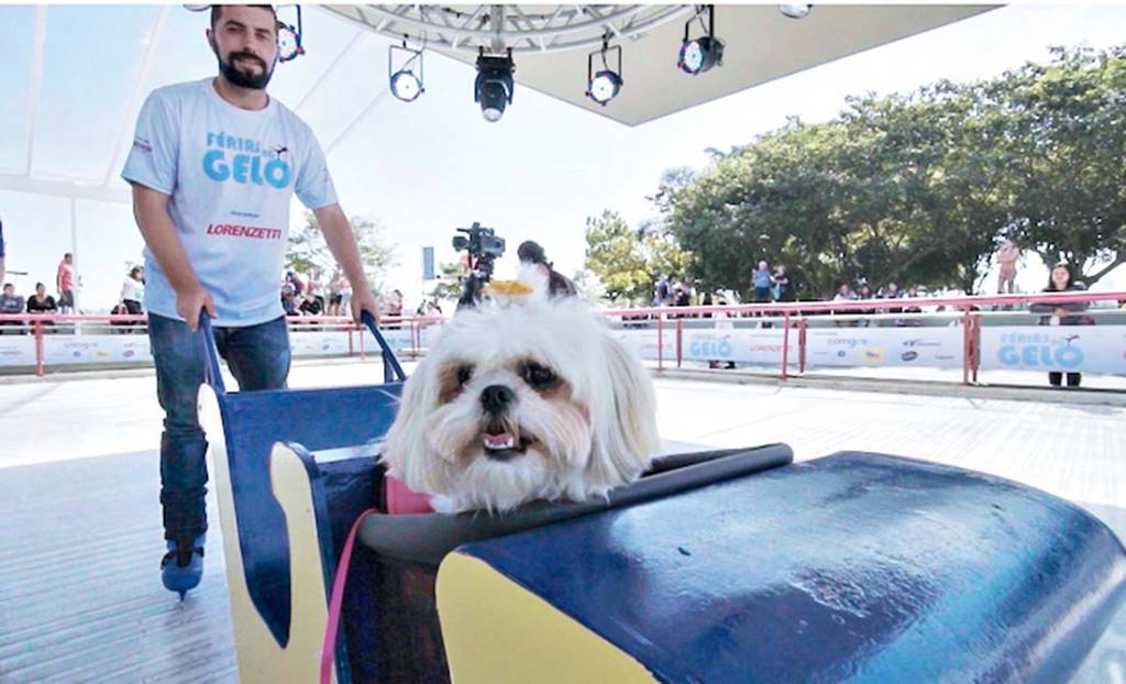 Pista de patinação no gelo em shopping pode ser usada por cachorros