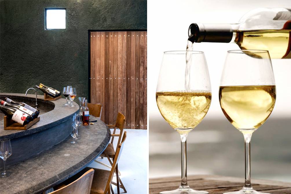 Fã de vinho branco? Famosa uva é tema de eventos em São Paulo