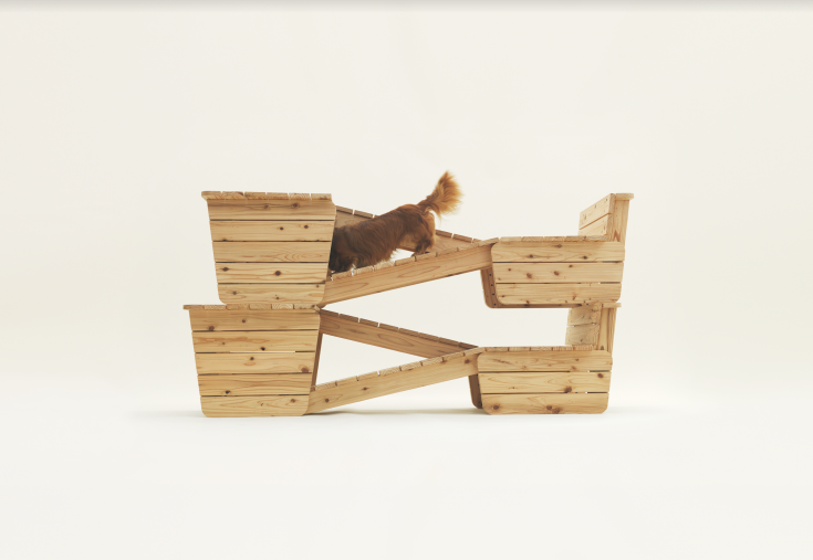 arquitetura para cachorros arquitetura para cachorros