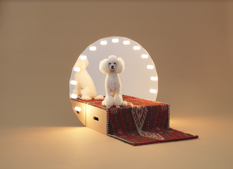 arquitetura para cachorros arquitetura para cachorros