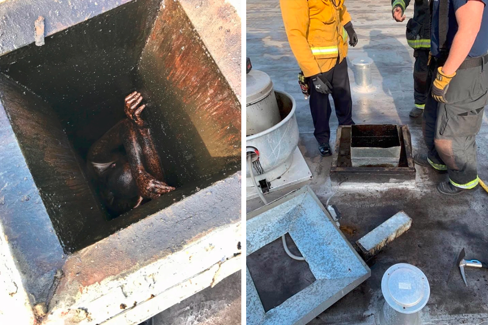 Homem tenta assaltar restaurante chinês e acaba preso na chaminé