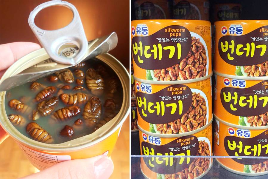 Bicho-de-seda e outros cinco produtos coreanos encontrados no Bom Retiro