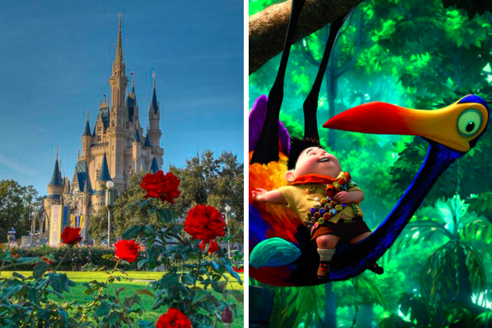 Walt Disney World terá encontro com Kevin, de “Up! — Altas Aventuras”