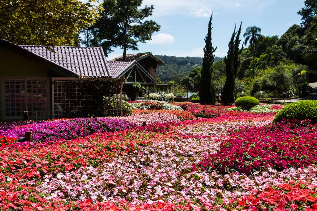 Unique Garden Unique Garden