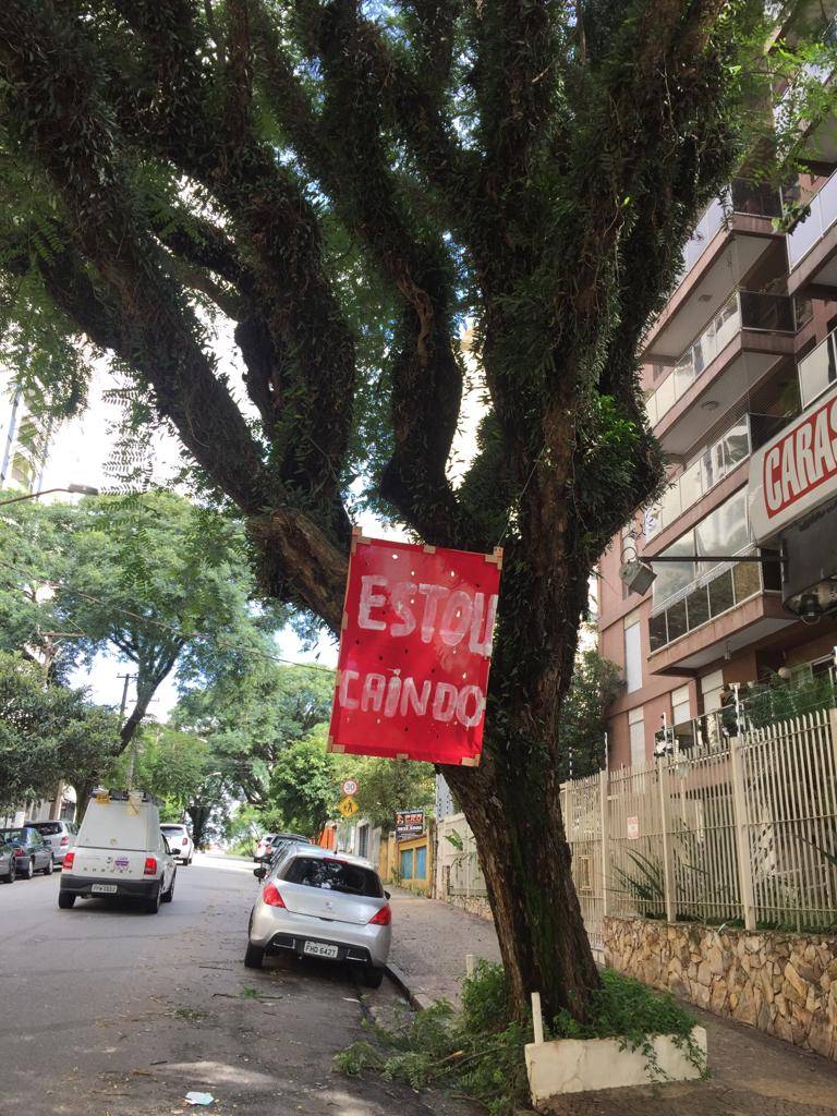 Zelador pendura aviso em árvore em Perdizes: “Estou caindo”