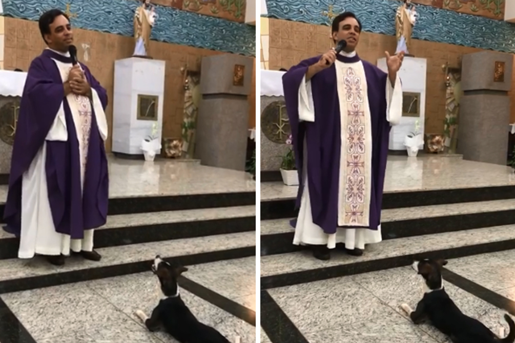 Cão Zezinho acompanha padre em missa e encanta fiéis em Olímpia