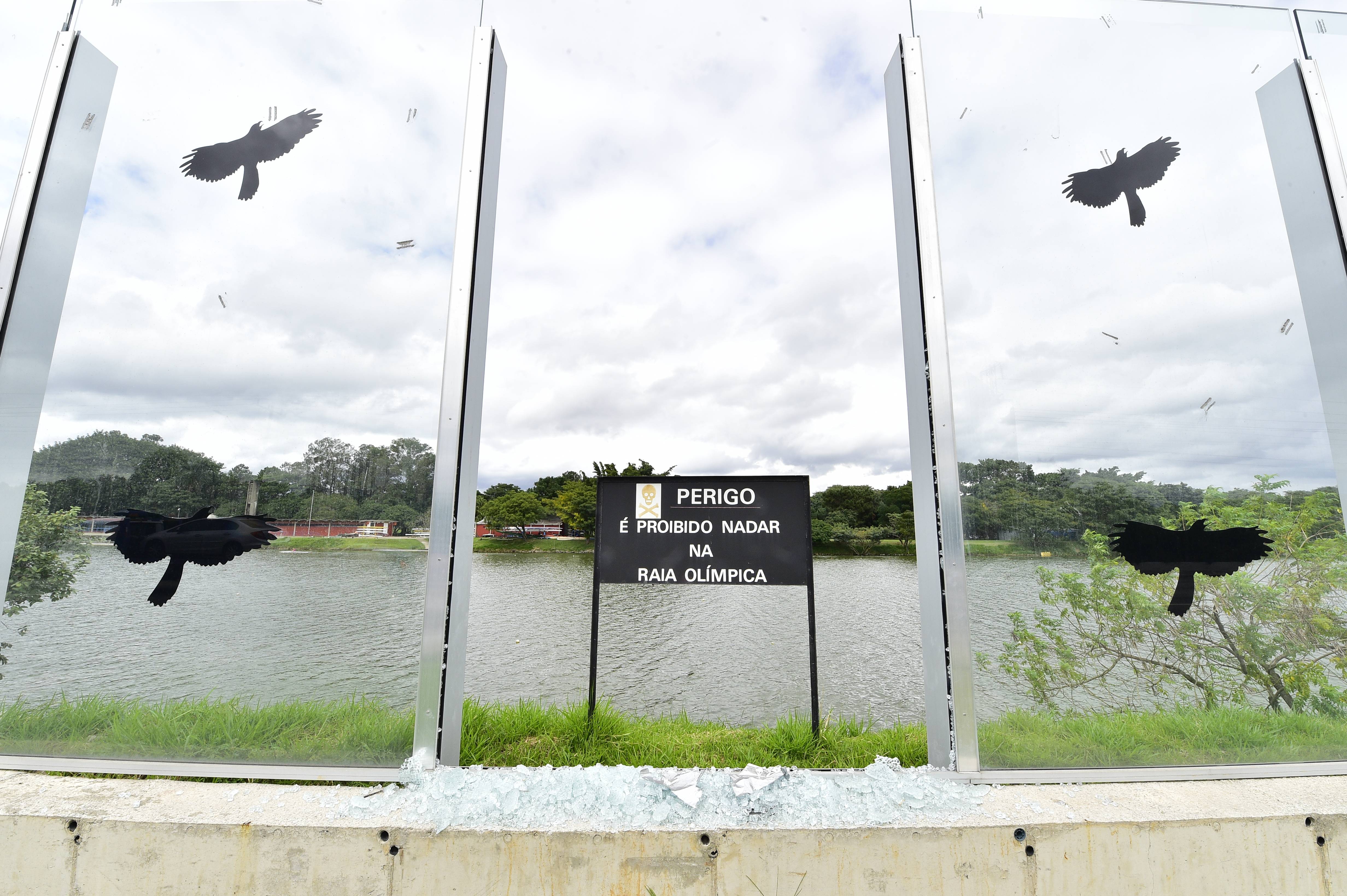 Após muro de vidro, raia olímpica da USP terá corredor verde