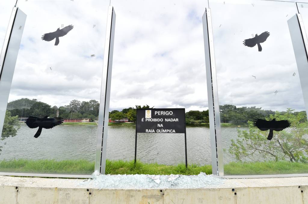 Após muro de vidro, raia olímpica da USP terá corredor verde