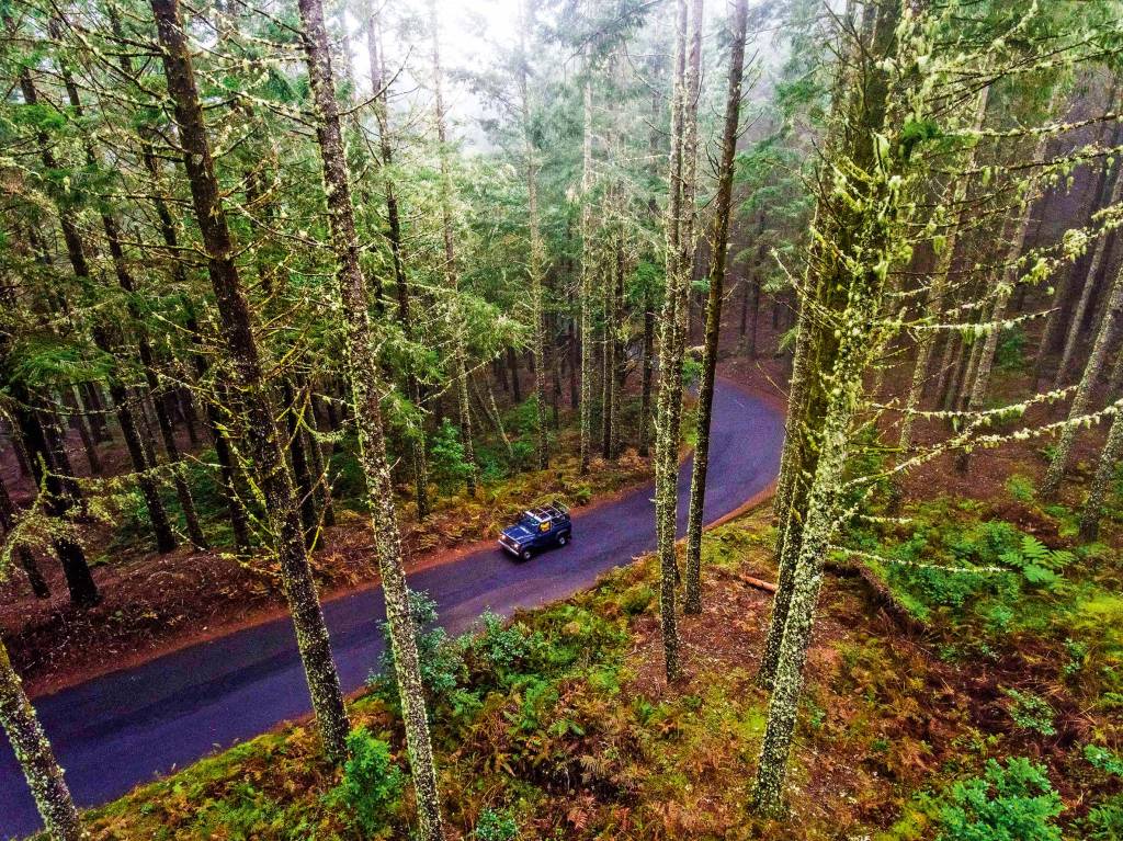 Confira atividades para curtir na Ilha da Madeira