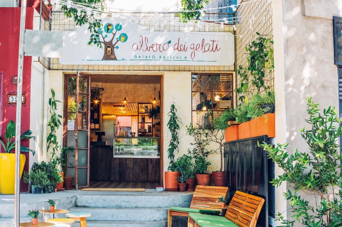 Albero dei Gelati