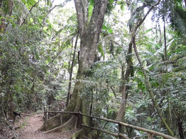 Parque Ecológico do Jaraguá Parque Ecológico do Jaraguá