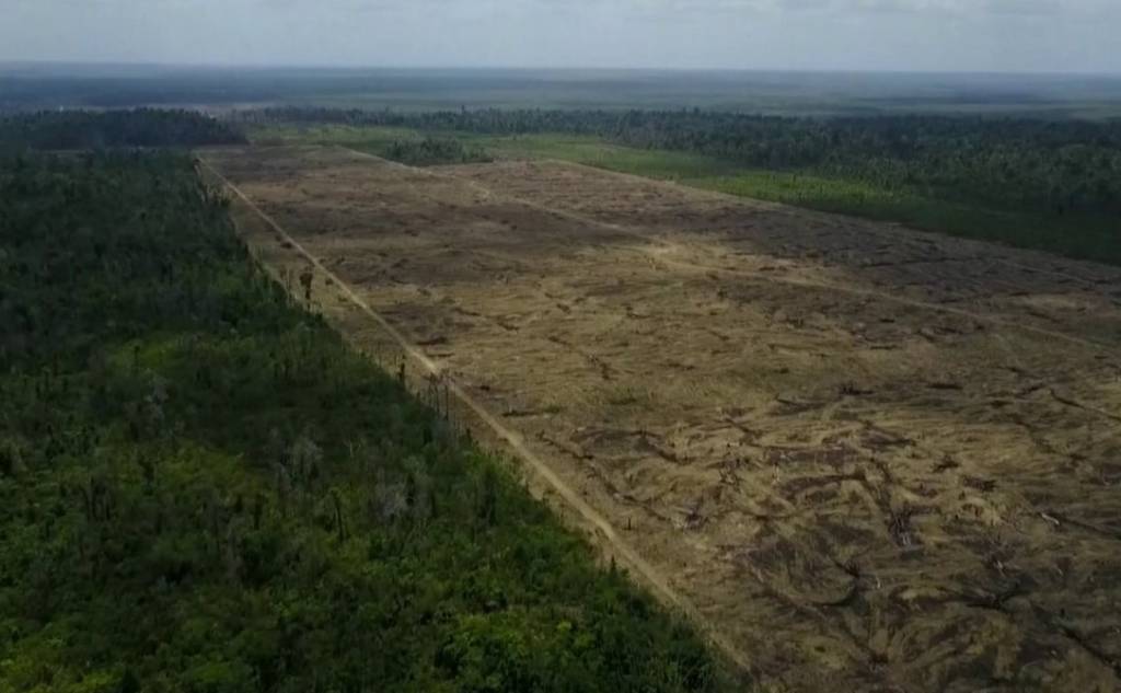 Desmate desde 1985 equivale a 3,6 vezes área de São Paulo