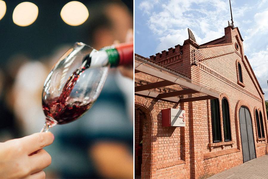 Cinemateca Brasileira sedia feira de vinhos nacionais