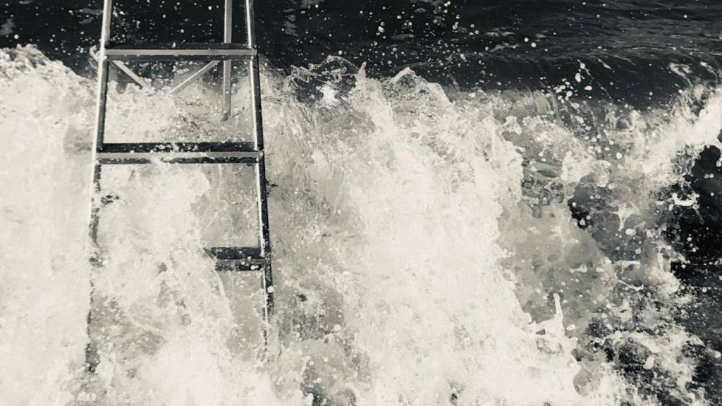 Artista investiga “lado animal” do ser humano na Cidade Matarazzo