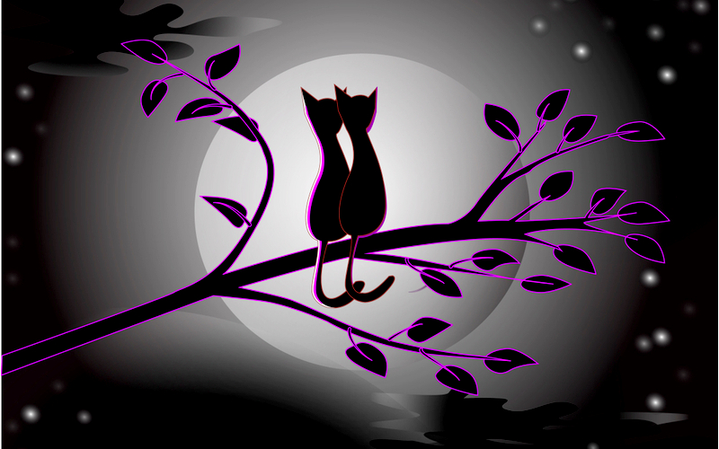 Como a Lua Cheia na sexta-feira 13 pode influenciar você!