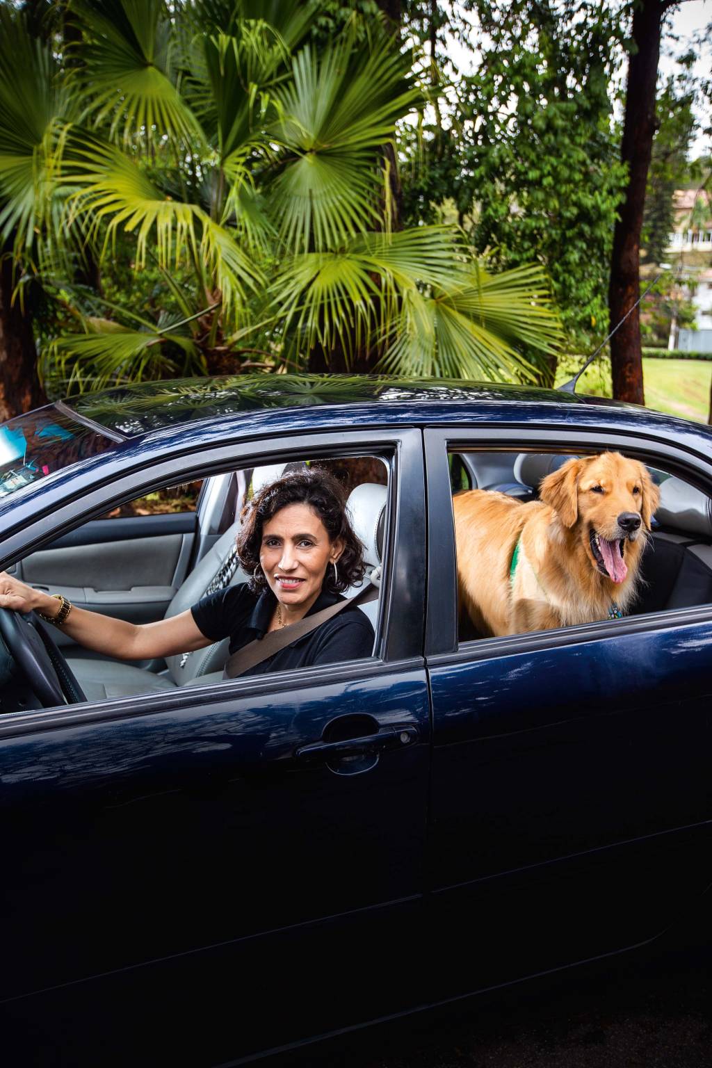 MOBILIDADE – PETDRIVE MOBILIDADE – PETDRIVE