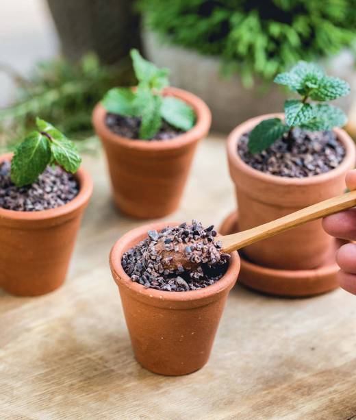 Musse de chocolate: entre as opções doces Musse de chocolate: entre as opções doces