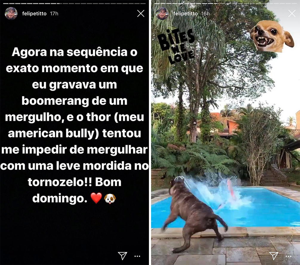 felipe-titto-acidente-cachorro-instagram-01