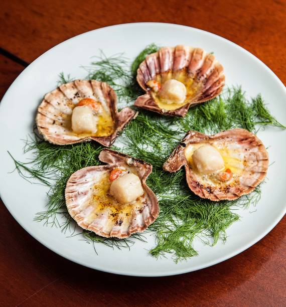 Vieiras à provençal: pedida passa pelo forno Vieiras à provençal: pedida passa pelo forno