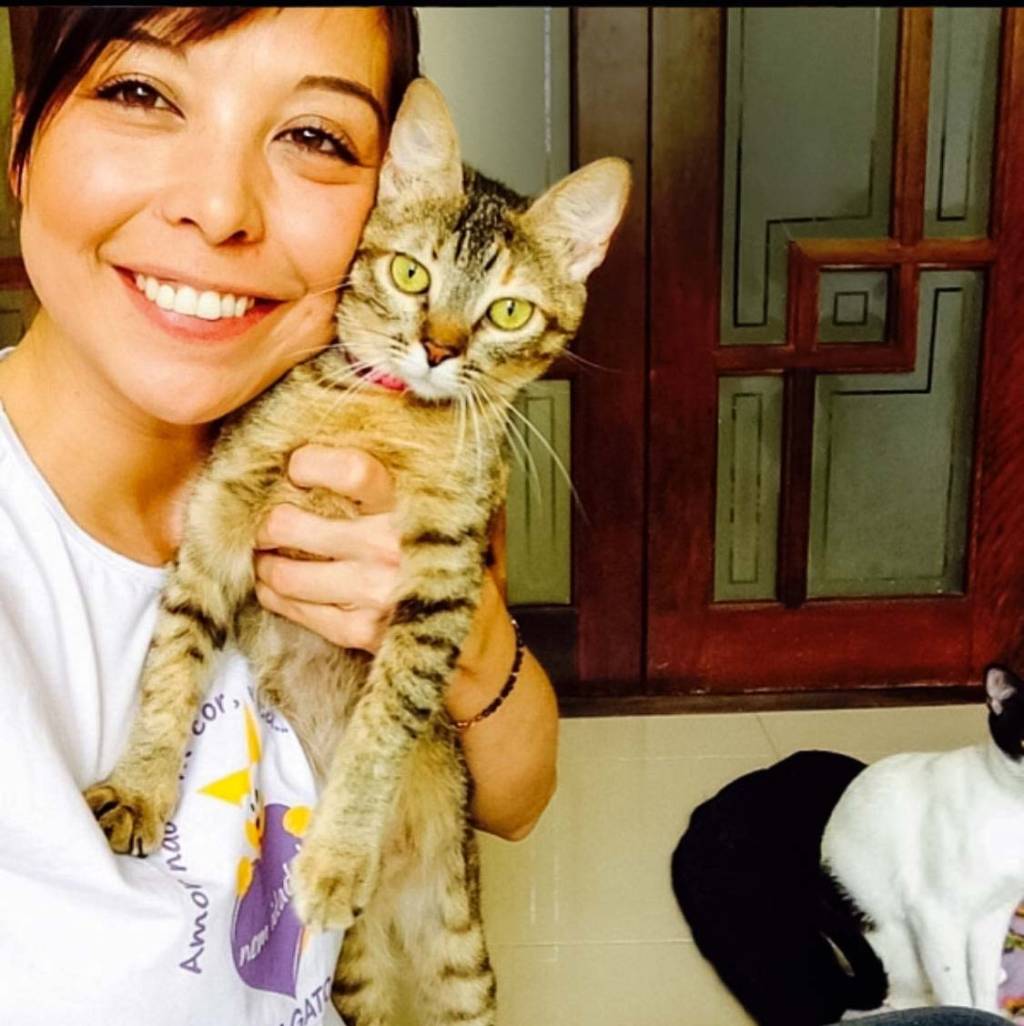 Susan 2.jpg Susan – Adote um Gatinho