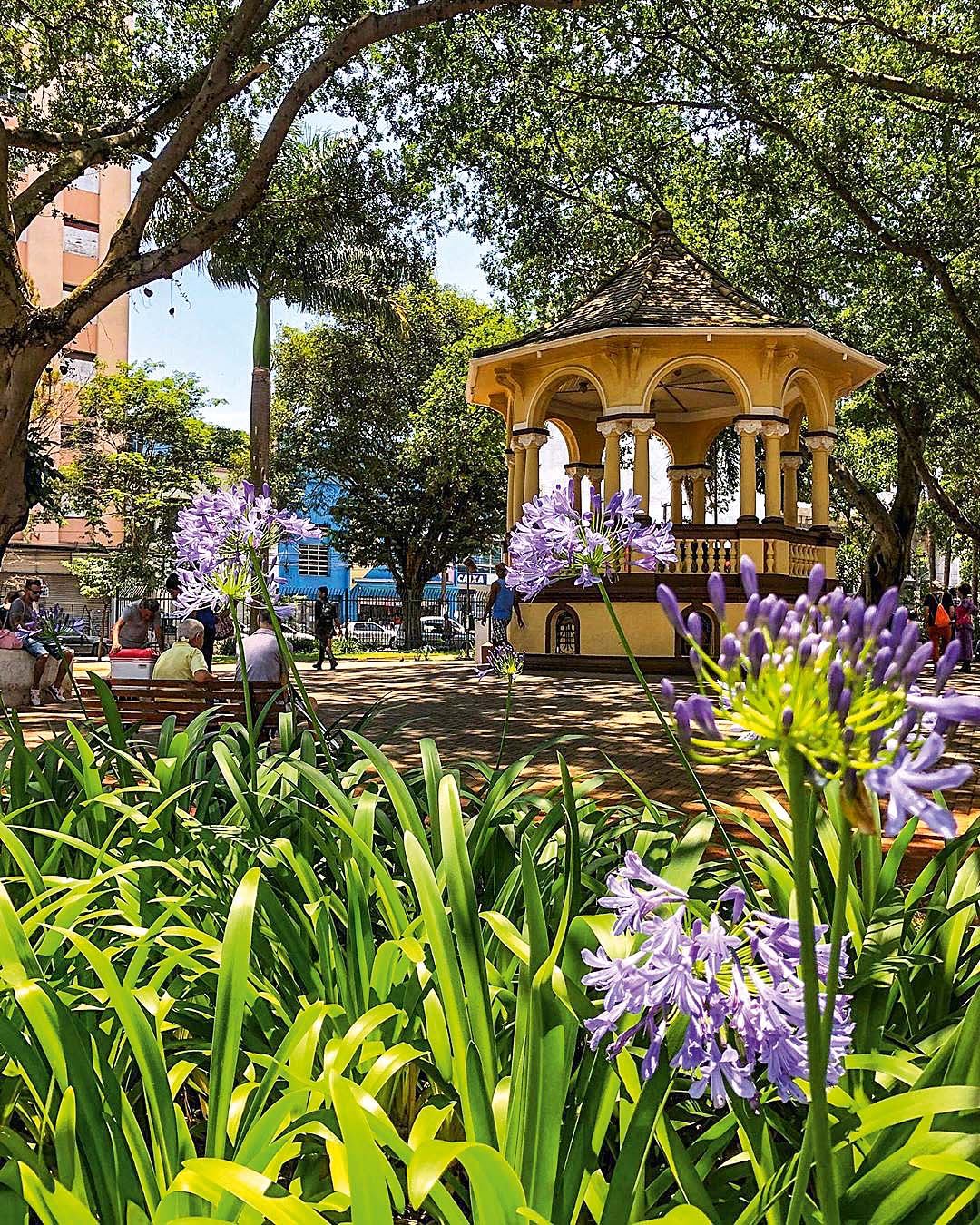 @joaokato copy 2.jpg