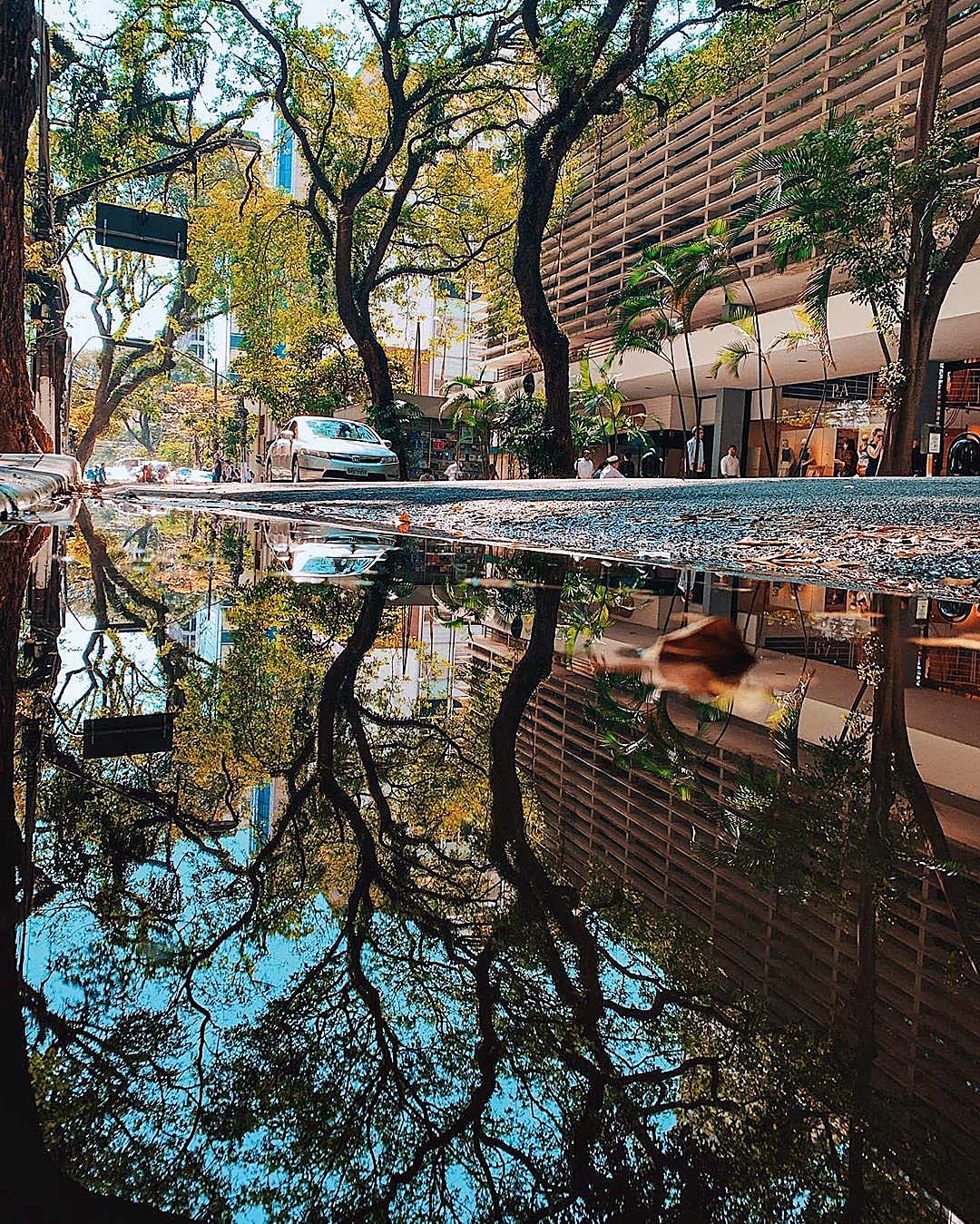 alameda santos@felipetoso