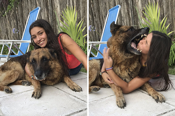 Mulher tenta tirar foto com cão, é mordida e leva 40 pontos no rosto