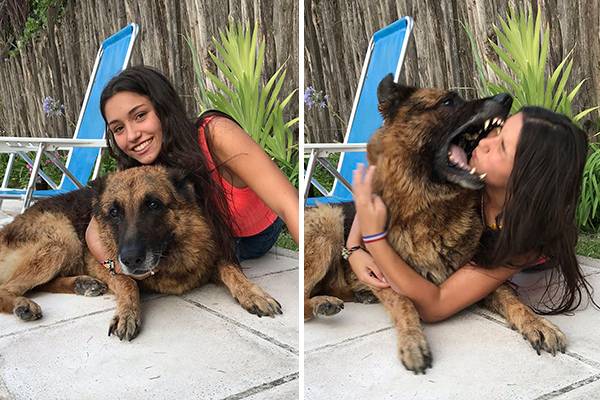 Mulher tenta tirar foto com cão, é mordida e leva 40 pontos no rosto