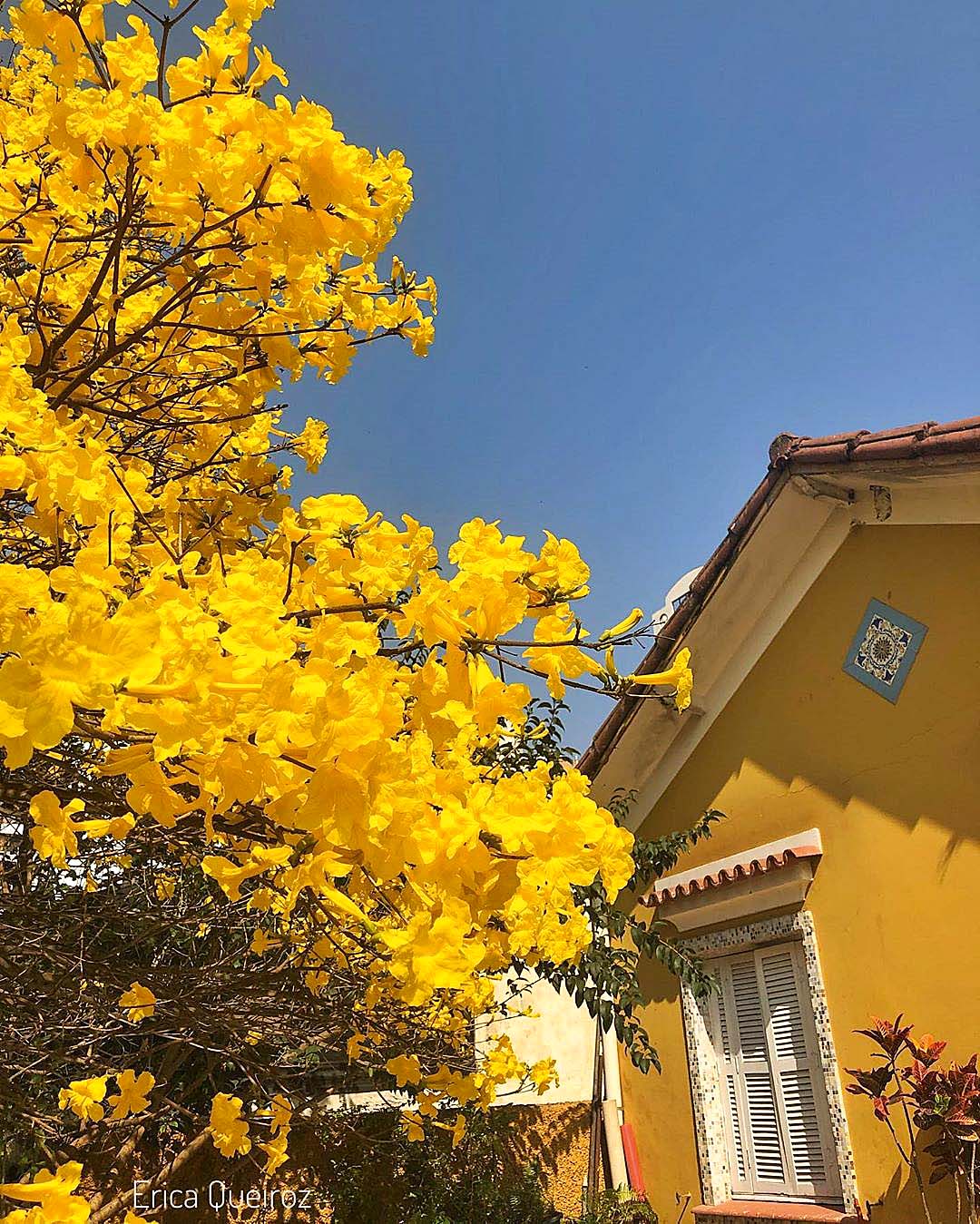 moema@ericasbestmoments