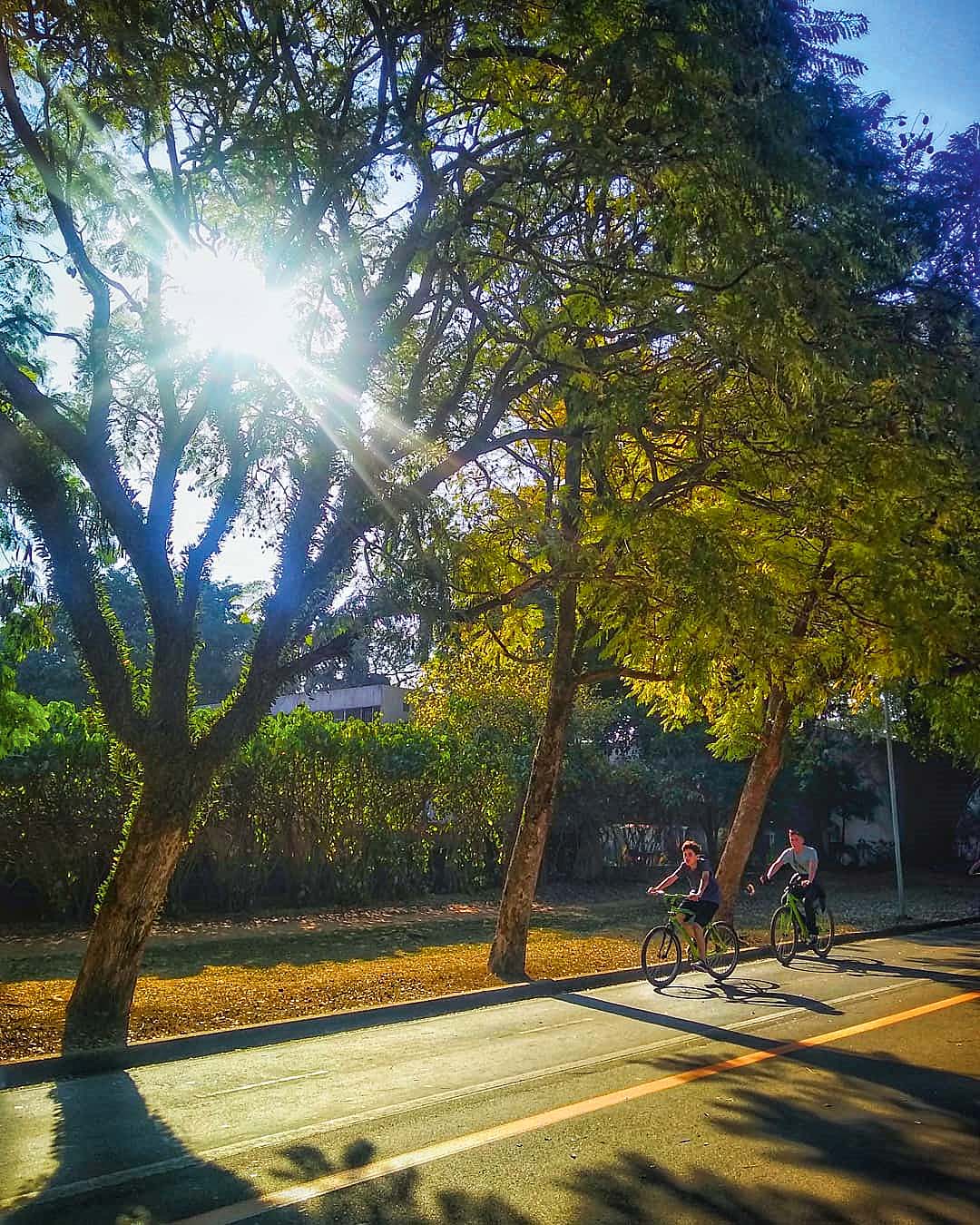 parque ibirapuera@isabelacarmo