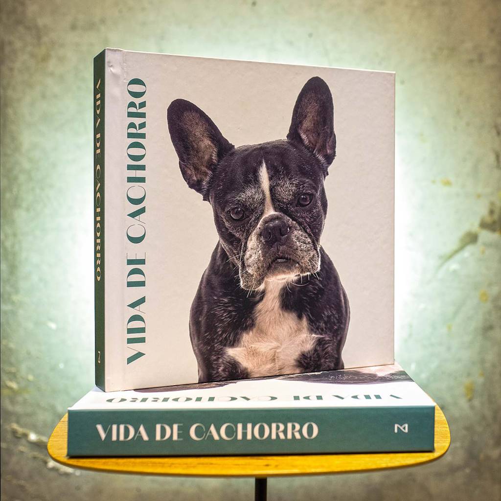 Editora oferece serviço para criar um livro personalizado do seu pet