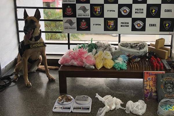PM apreende mais de 3 000 porções de drogas com ajuda de cadela