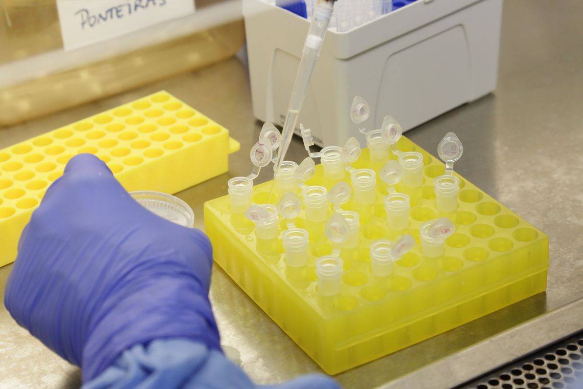 Países da Europa começam a aplicar vacina da Pfizer contra Covid-19