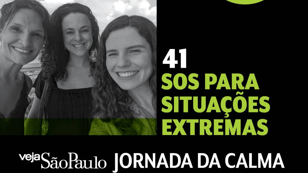 Jornada da calma Episódio 41