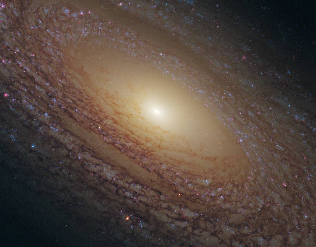 Nasa mostra foto tirada no dia do aniversário de internautas