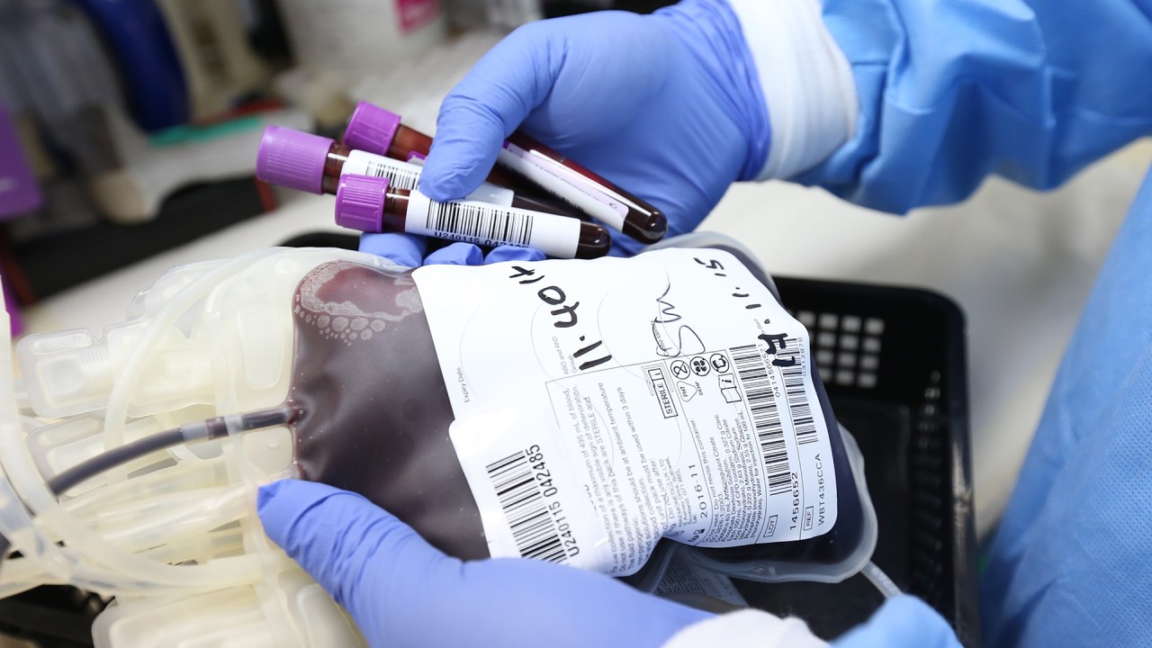 doar sangue