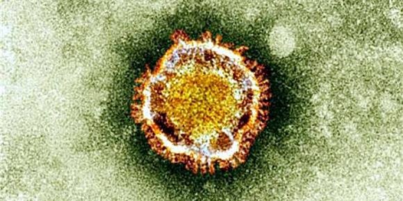 Aplicativo monitora aumento de casos de covid-19