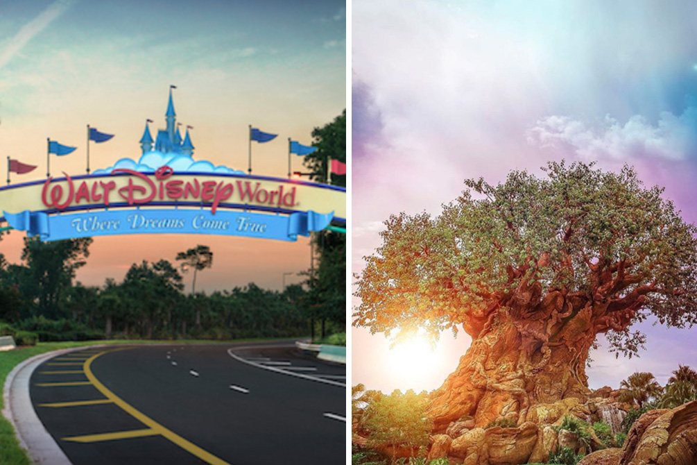 Homem é preso após invadir ilha privada no Walt Disney World Resort