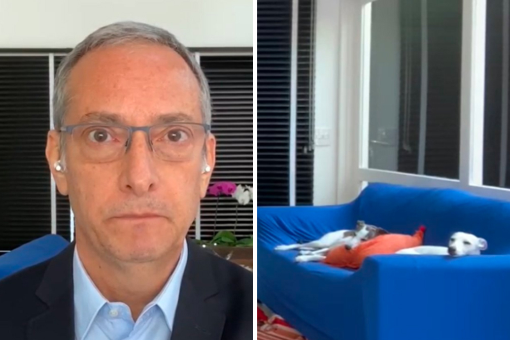 Pets de José Roberto Burnier roubam a cena no Jornal GloboNews