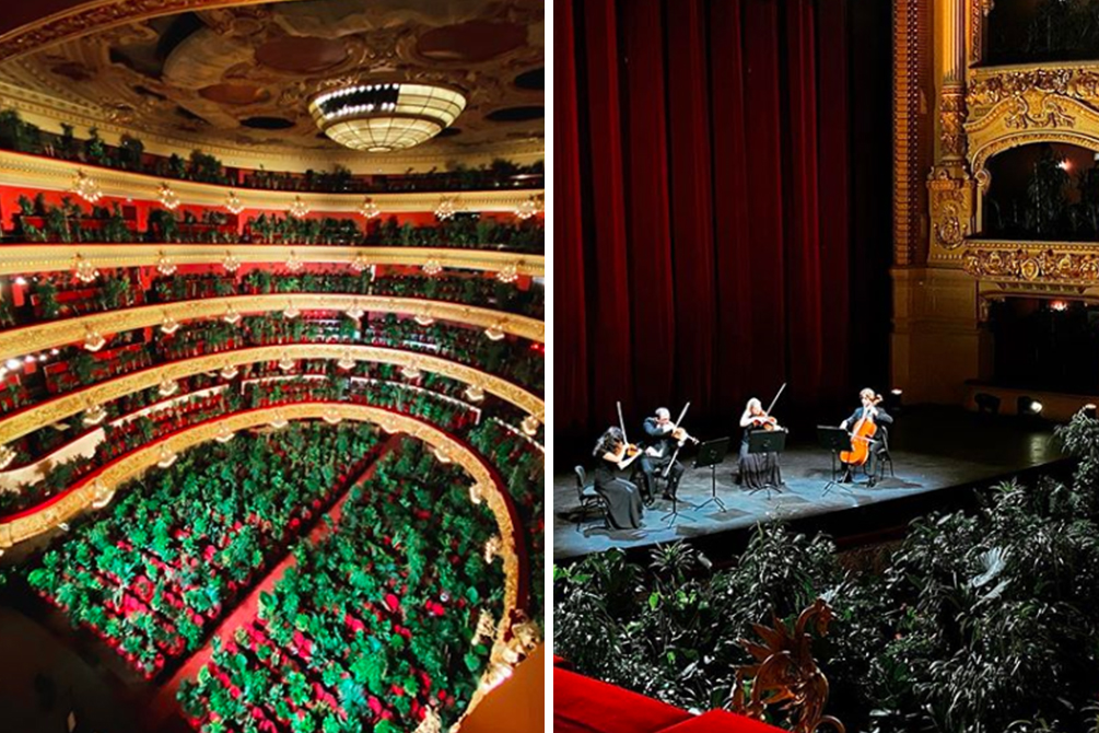 Casa de ópera promove concerto para 2 292 vasos de plantas em Barcelona