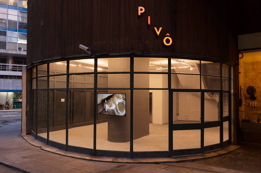 Circuito virtual traz informações sobre galerias e espaços independentes