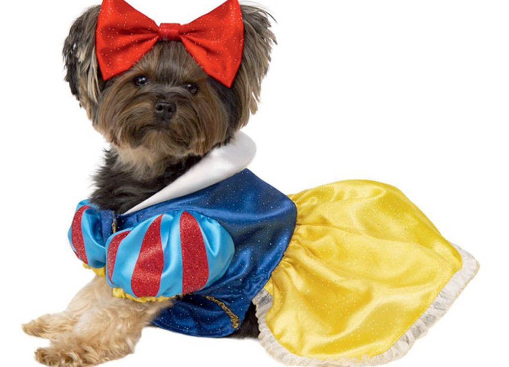 cadela princesa, roupinha de cachorro