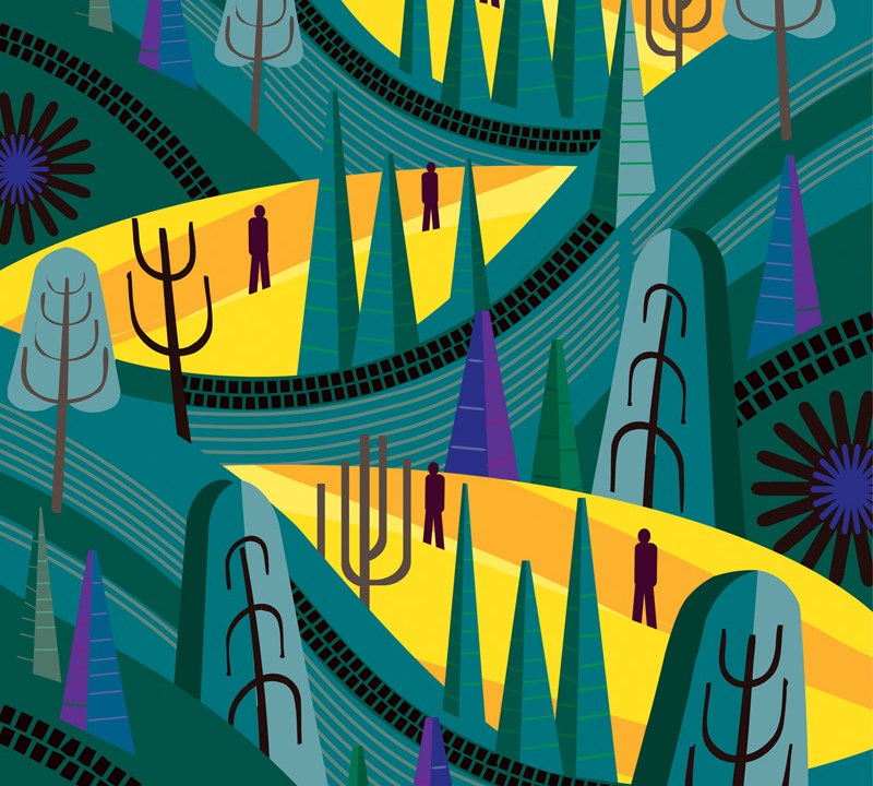 Path throug abstract forest