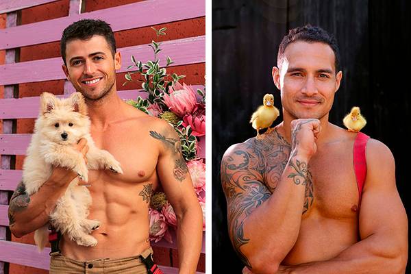 Bombeiros australianos posam com bichinhos para calendário beneficente