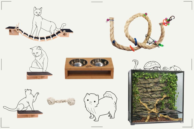 15 produtos para todos os tipos de pets a partir de 8 reais