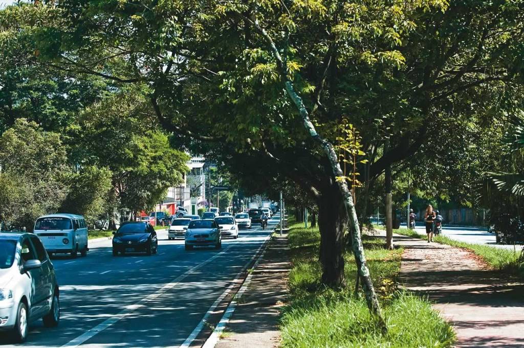Avenida Sumaré Avenida Sumaré