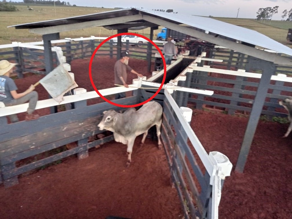 Paulo Cupertino passou por seis cidades antes de se esconder em sítio